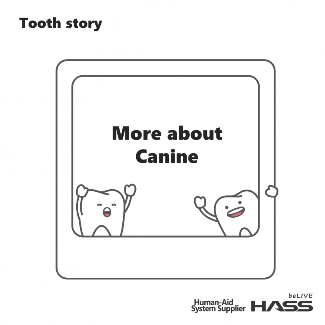 Tooth Dental Dog teeth Fangs Canine